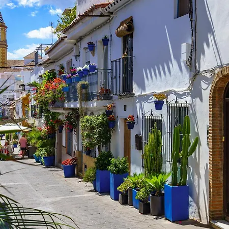 Plaza De Flores By Interhome דירה אסטפונה
